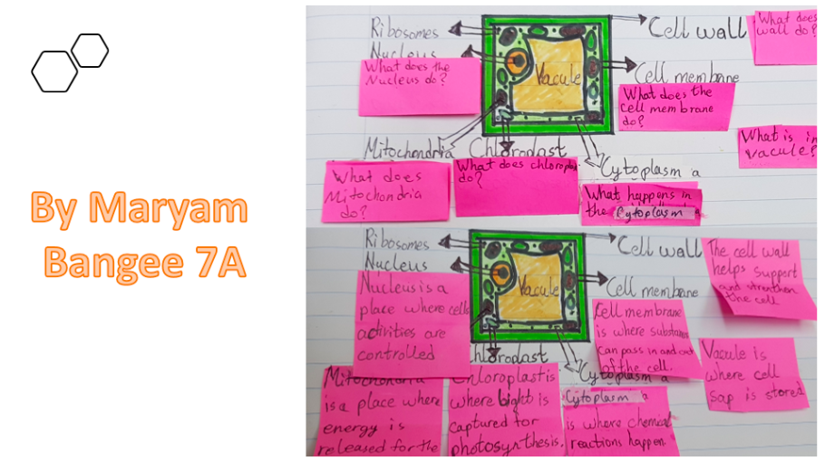 Secondary design creatives lady evelyn independent school