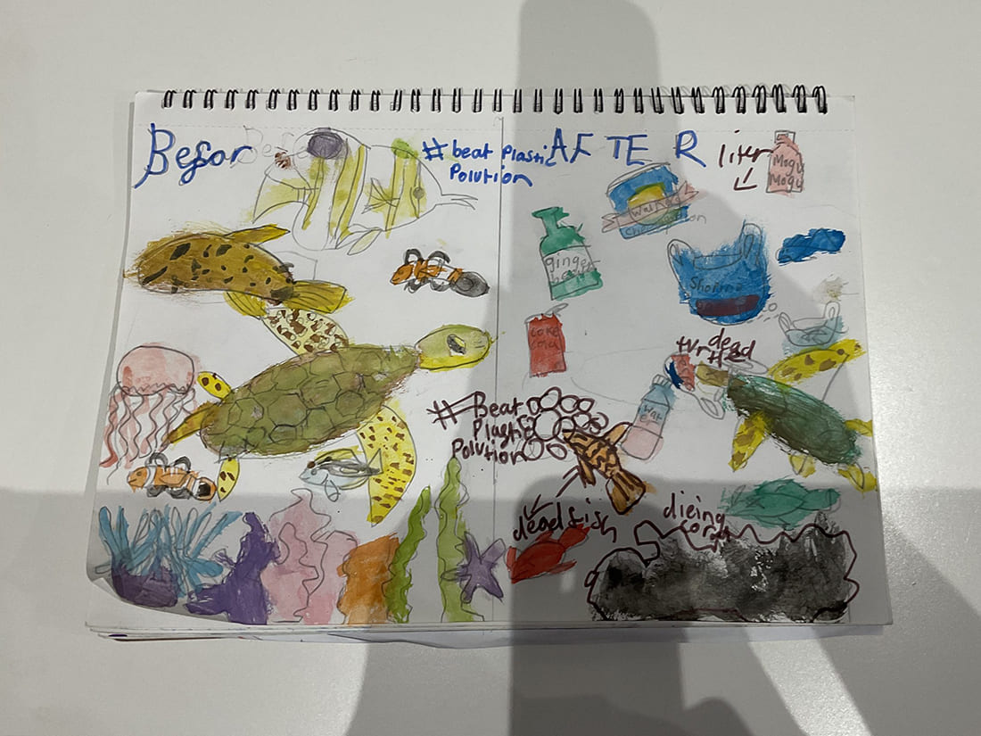 Poster Competition – Lady Evelyn Independent School