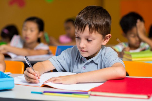 Best Montessori Schools In USA