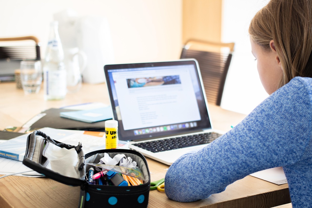 Online Schools